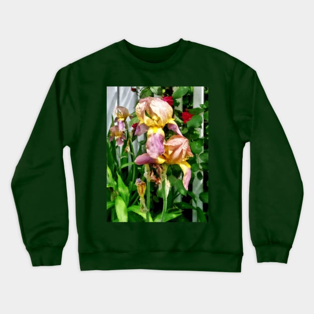 Irises By Picket Fence Crewneck Sweatshirt by SusanSavad